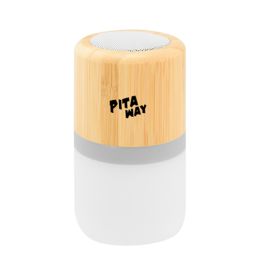 Pita Way Recognition Speaker